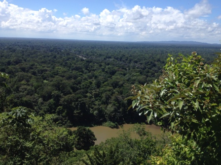 Parque Nacional Tortuguero, El Cerro, Limón Costa Rica